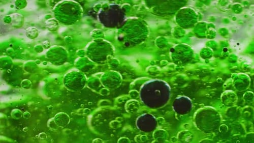 macro shot of a mix of green and black bubbles slowly getting mixed in water