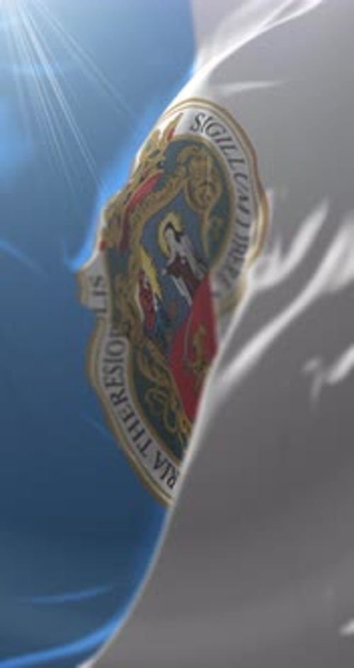 Elegant Waving Flag with Ornate Royal Seal Vertical Video