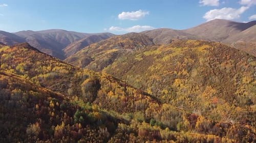 Luftaufnahme von bunten Wäldern und Bergen im Herbst