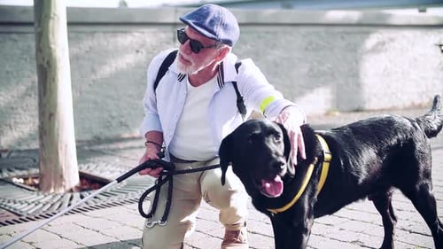 Senior blind man resting outdoors in the city with his loyal guide dog