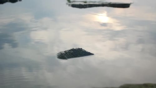 a rock over the calm lake water in the afternoon