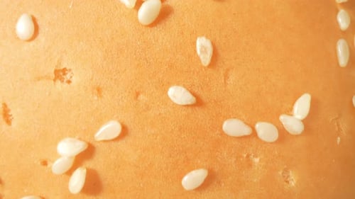 Macro View of Sesame Seeded Hamburger Bun