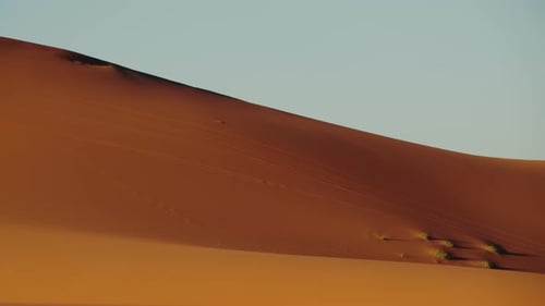 Serene Sand Dunes of Erg Chebbi Morocco