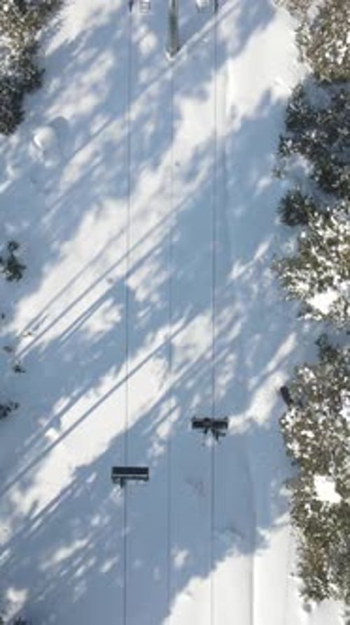 Cable Car In Forest