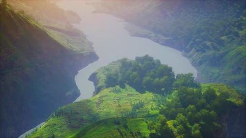 Landscape with a Mixed Forest in Spring