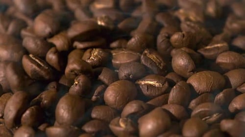 Zeitlupe von gerösteten Kaffeebohnen, die mit Rauch herunterfallen. Bio-Kaffeesamen.
