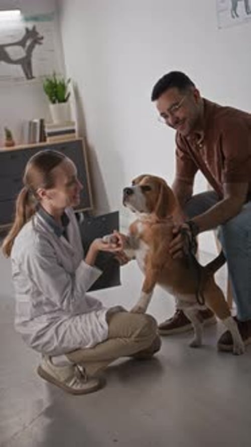 Female Veterinarian Holding Dogs Paw and Talking with Owner in Clinic
