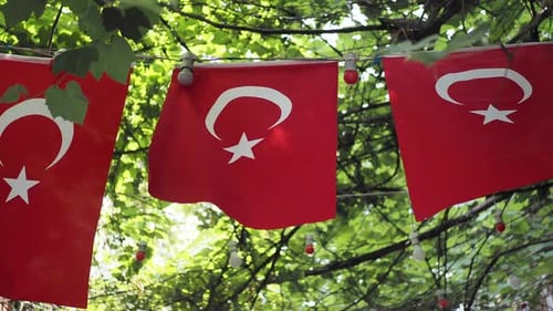 Turkish Flags Decoration Blowing in the Wind