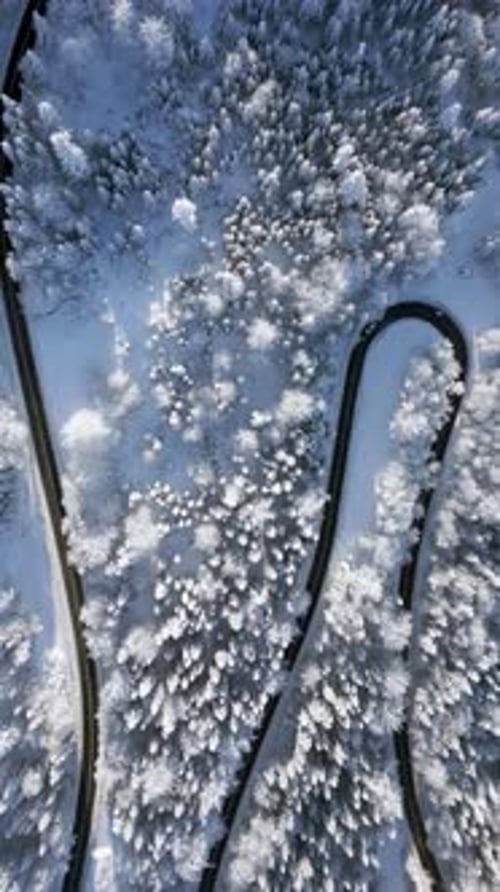 Aerial View of Winding Winter Road Through Snowy Forest