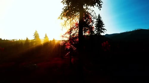 Les premières lueurs de l'aube illuminent doucement un paysage paisible avec une teinte chaude