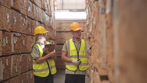 Beide Arbeiter arbeiten in einer Holzfabrik und überprüfen das Inventar und das Holz im Holzlager