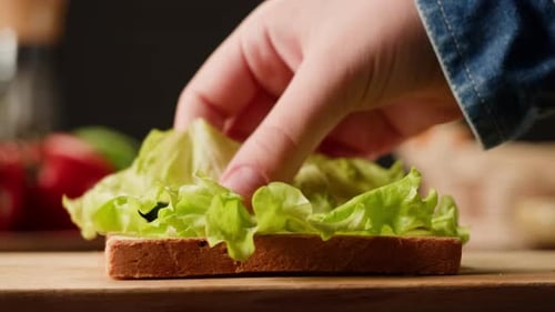 Making Sandwich with Lettuce and Sliced Ham