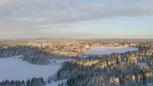 Aerial view flying across peaceful winter Scandinavian woodland sunlit and shaded wintry landscape