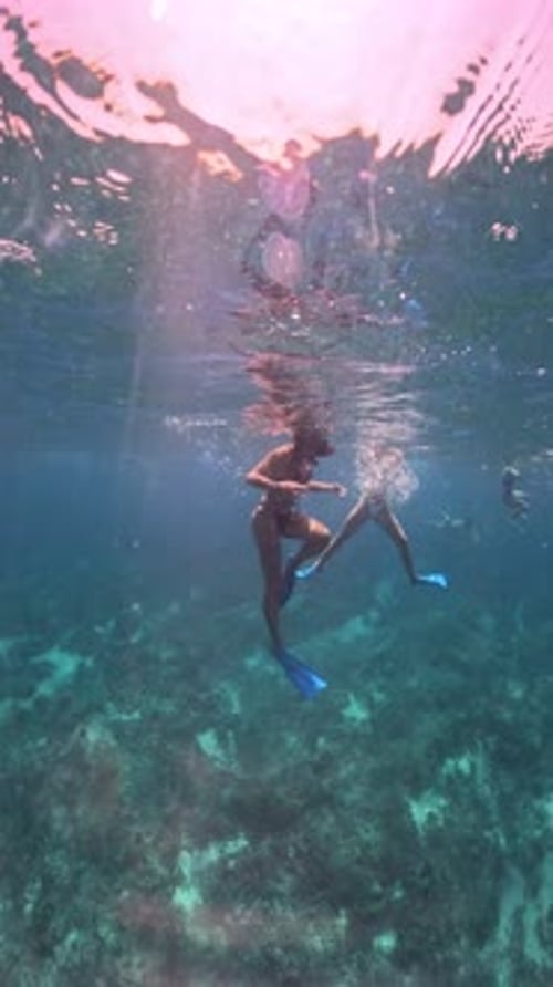 women swimming, underwater view of girls on bikini diving at a coral reef in the ocean