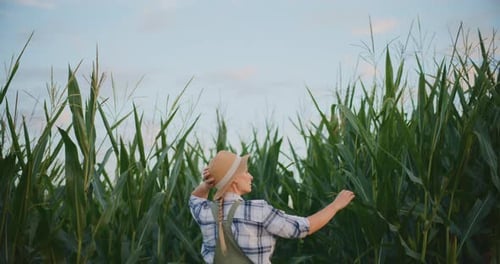 Back View of Female Farmer in Field of Lush Green Corn