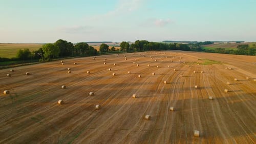 Expansive field of harvested crops with hay bales casting long shadows in the late afternoon.