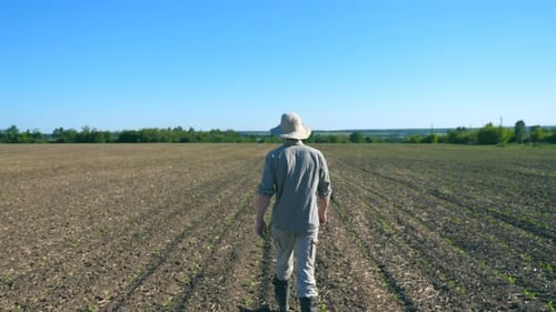 Unrecognizable Young Male Farmer in Hat Going Through the Small Green Seedlings on His Field at