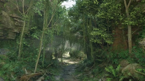 A Serene Nature Trail Winding Through a Forested Landscape