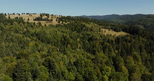 Vast mountain landscape covered in dense green forest with open grassy meadows near the ridge. The