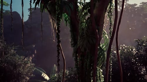 Deep Jungle Forest Slow Camera Pan Nature Background