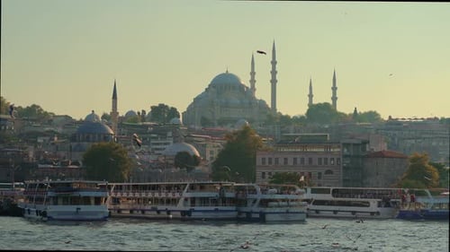 Cruise Through Istanbul's Historic Heart Capturing the Majestic Mosques Busy Ferry Piers and the