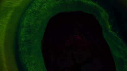 The black pupil of the green-eyed creature suddenly dilates, revealing blood red fire within - an a