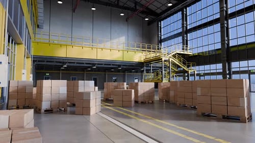 Cardboard Boxes Moving on Pallets in Warehouse