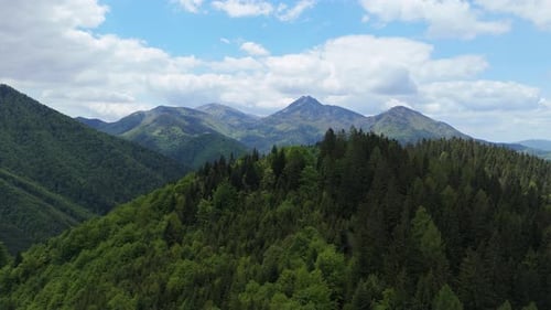 Aerial View of Spring Carpathian Mountains Covered with Green Forest Under Partly Cloudy Sky