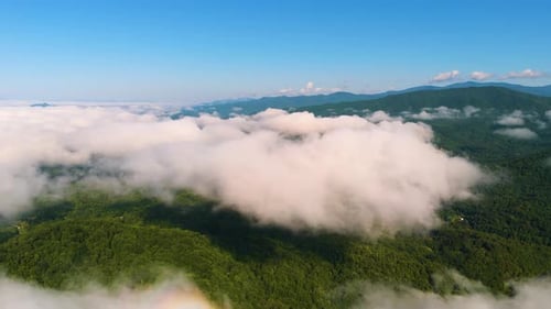 Mountain Landscape with Dense Summertime Canopies Vibrant Forest Nature After Rainfall