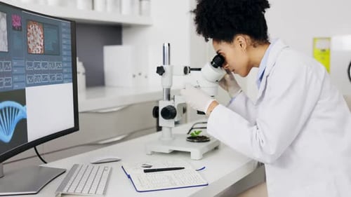 Scientist, plant microscope and woman writing notes for medical research, test or information