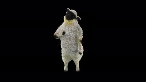 85 Sheep Dancing 4K