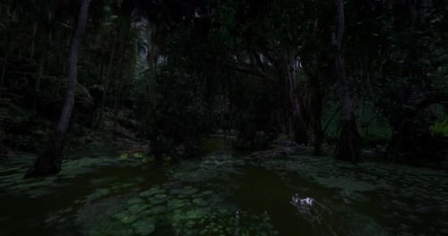 Ambiance nocturne dans un marais serein et crépusculaire : un marécage rempli de calme