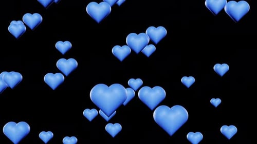 Blue valentines day hearts fall down on black background 3d render loop. Love concept, romantic