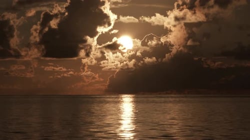 Sonnenaufgang am Strand mit Vogelsilhouette, die am Meer vorbeifliegt