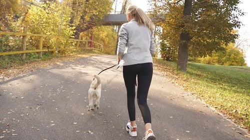 a Woman in Sports Clothes Walking Through the Autumn Park with Her Beloved Dog Decided to Jog
