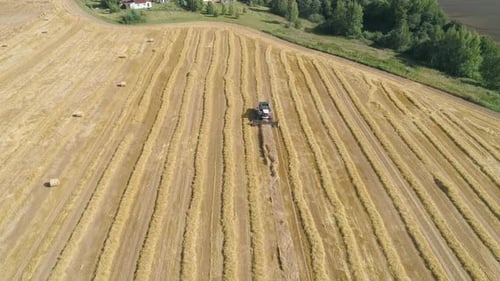 Combine Harvester on Wheat Field