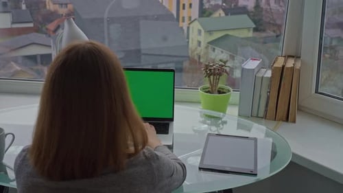 Entrepreneur Works at Home Office