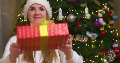 Woman Offers a Christmas Gift Near Christmas Tree