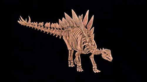Stegosaurus Skeleton Run Idle