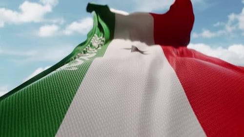 Die wellenförmige Flagge Somalilands weht in Zeitlupe im Wind und schwenkt das offizielle Symbol der somalischen Flagge