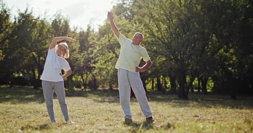 Active Elderly Couple Exercising Outdoors in a Park or Garden Ding Arm Stretches in a Health and