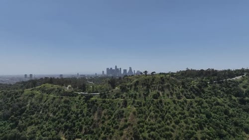 Elysian Park in los Angeles, view of the Downtown Los Angeles skyline.