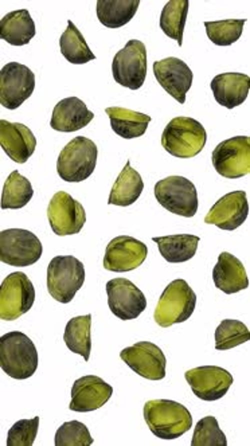 Seamless Falling Green Pods Organic Motion Background