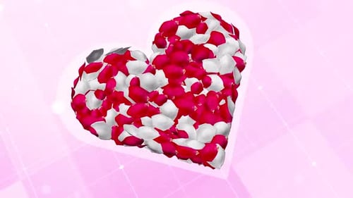 Romantic Rose Petal Heart Reveal for Valentine's Day