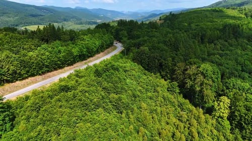 Winding mountain road through forest. A winding road cuts through vibrant green hills