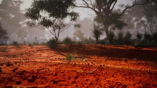 Red Dirt Field With Trees