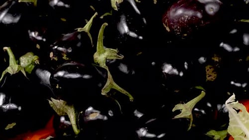 Frische schwarze Auberginen werden auf einem lebhaften Markt ausgestellt