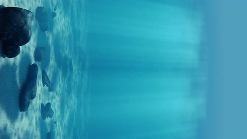 Sunlight shine through water surface on sea bed with stones, vertical