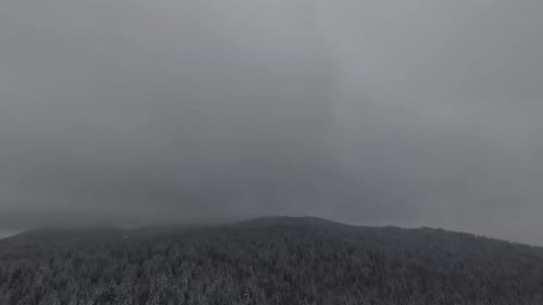 Snow Covered Trees in a Forest with Moving Mist and Beautiful Light Aerial Birds Eye View Winter