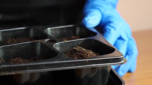 P49. Soil is added to the seedling tray with a spatula. The concept of gardening and horticulture.
